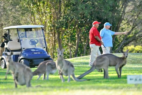 Property photo of 151/7 Halcyon Drive Pimpama QLD 4209