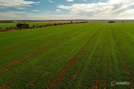 4034 Kolkilbertoo Rd, Weethalle, NSW 2669