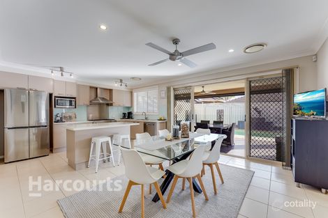 Property photo of 17 Alchornea Circuit Mount Annan NSW 2567