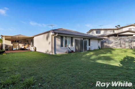 Property photo of 37 Nabeel Place Calamvale QLD 4116