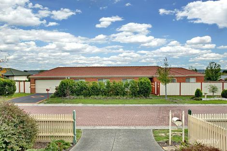 15 Nellie Ct, Chirnside Park, VIC 3116