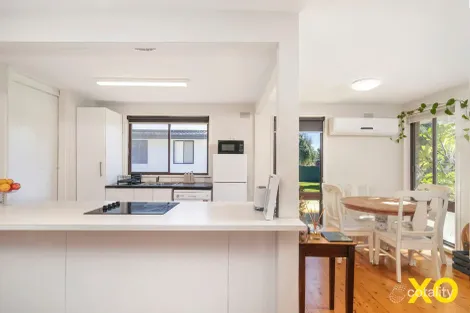 Property photo of 11 Dalton Avenue Singleton NSW 2330