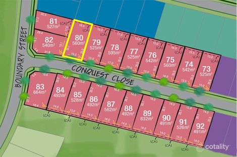Property photo of LOT 80 Conquest Close Rutherford NSW 2320