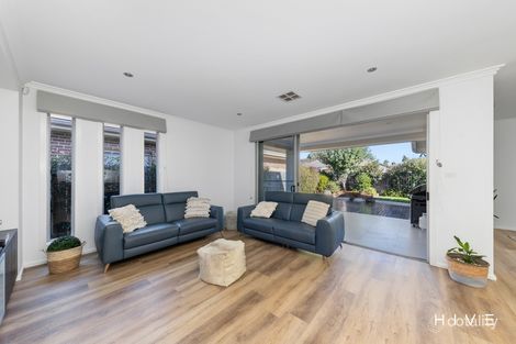 Property photo of 6 Horneville Street Forde ACT 2914