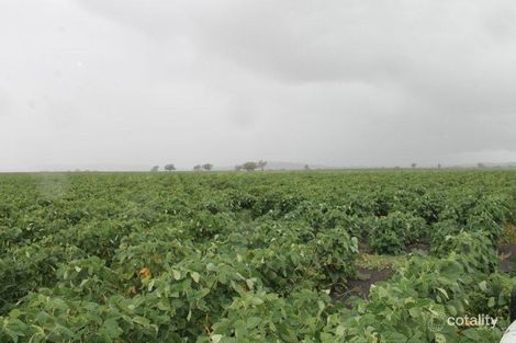 907 Lecoin Rd, Gragin, NSW 2403