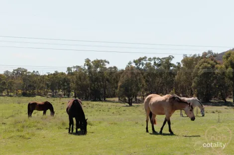 Property photo of 14 Jukes Street Hackett ACT 2602