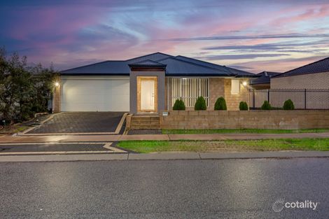 Property photo of 9 Newbliss Gardens Butler WA 6036