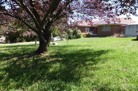 31 Lee St, Molong, NSW 2866