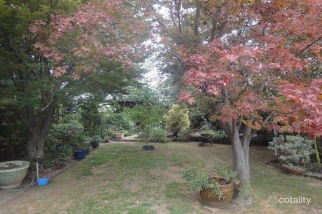 Property photo of 61 Glenroi Avenue Orange NSW 2800