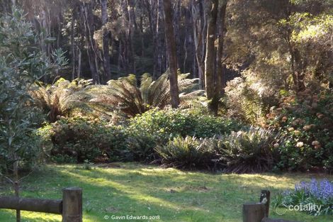 Property photo of 499 Lapoinya Road Lapoinya TAS 7325