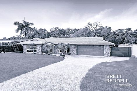 Property photo of 8 Podinga Circuit Ormeau QLD 4208