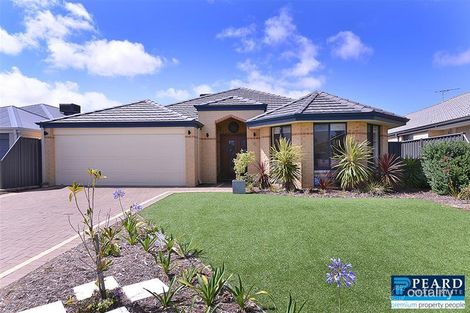 6 Dillwynia Bend, Banksia Grove, WA 6031