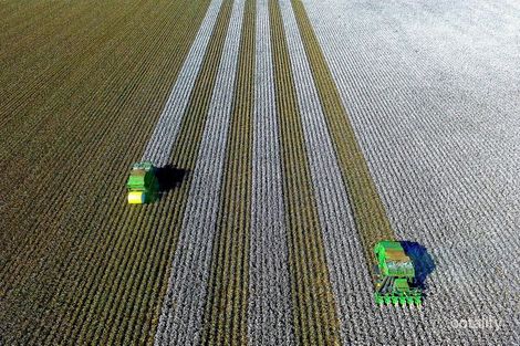 69 Kalanga Rd, Toobeah, QLD 4498