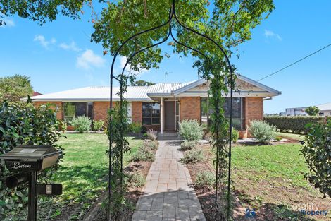 1 Calypso St, Middle Ridge, QLD 4350