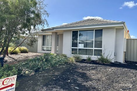 Property photo of 6 Gribble Circuit Vasse WA 6280