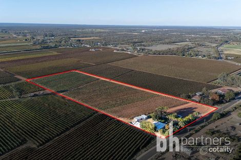 131 Lobban Rd, Monash, SA 5342