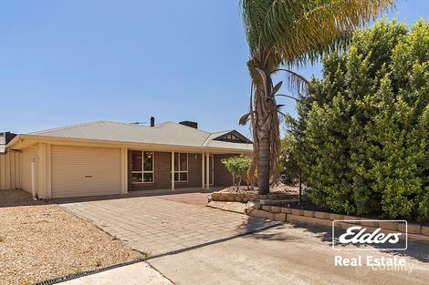 Property photo of 19 Angle Vale Road Angle Vale SA 5117