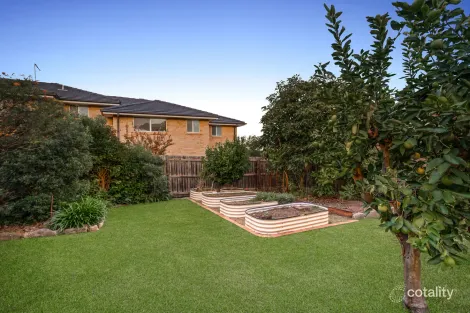 Property photo of 8 Mount Street Constitution Hill NSW 2145