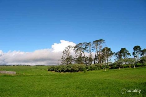 19 Cofton Cl, Dorrigo, NSW 2453