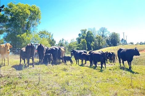 189 Cathay Creek Rd, Crediton, QLD 4757