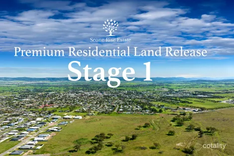 Property photo of 38 Barton Street Scone NSW 2337