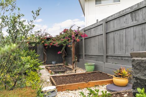 Property photo of 43 Brindabella Circuit Thornlands QLD 4164