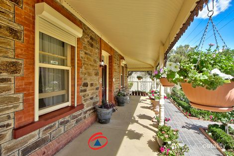 Property photo of 48 Panter Street Willaston SA 5118