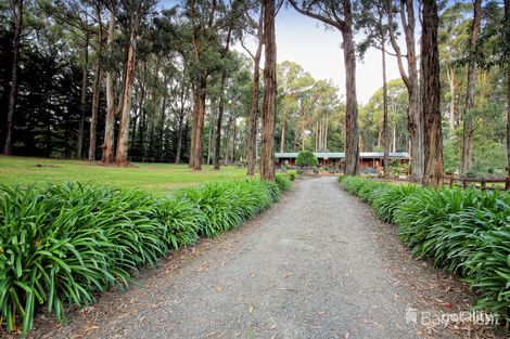 Property photo of 9A Doonaha Road Cockatoo VIC 3781