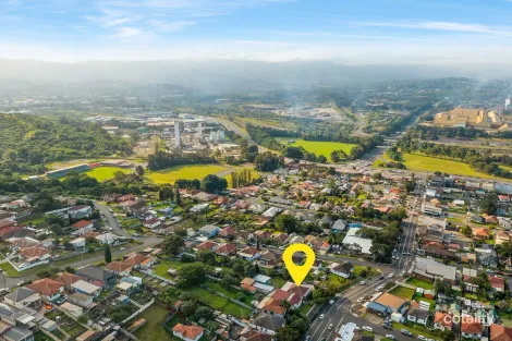 Property photo of 42 Lake Avenue Cringila NSW 2502