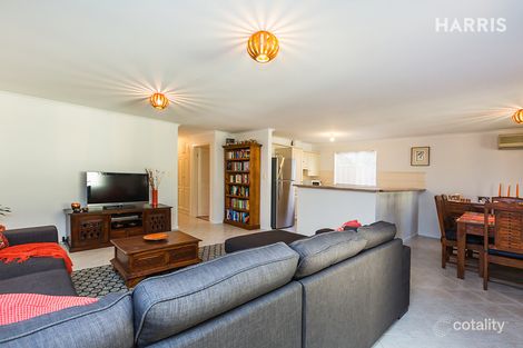 Property photo of 125A Dunrobin Road Warradale SA 5046