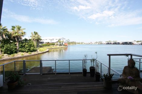 Property photo of 68/181 Lae Drive Coombabah QLD 4216