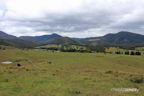 Property photo of 2973 Willi Willi Road Willi Willi NSW 2440