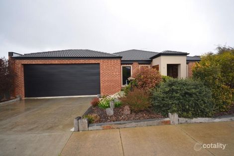 5 The Ridge, Winter Valley, VIC 3358