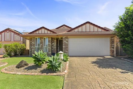 Property photo of 11 Typha Place Elanora QLD 4221