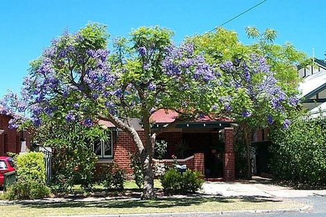 7 Seabrook St, Mount Hawthorn, WA 6016