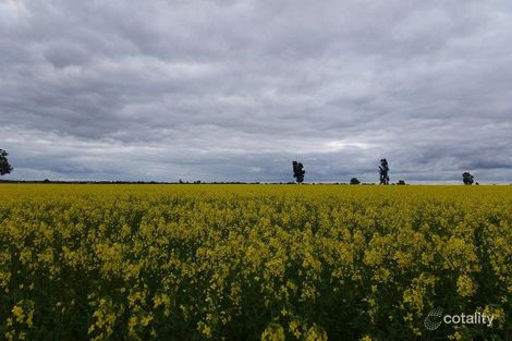 1281 Nelungaloo Rd, Nelungaloo, NSW 2876