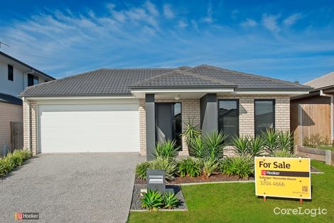 Property photo of 16 Spearmint Street Griffin QLD 4503