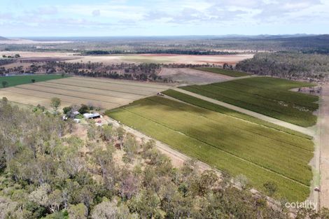 453 Herbert River Rd, Innot Hot Springs, QLD 4872