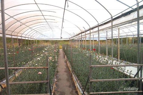 Property photo of 38 Mountaintrack Drive Wamuran QLD 4512