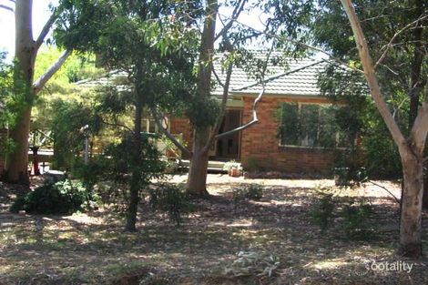 23 Manning Rd, Killara, NSW 2071