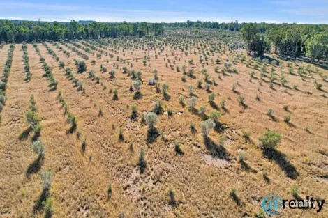 Property photo of LOT 53 Wombinebong Road Millmerran Downs QLD 4357