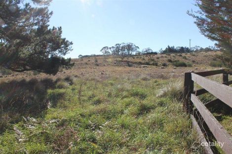 Property photo of 4608 Kings Highway Monga NSW 2622