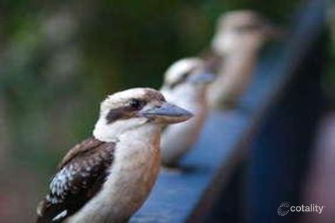 516 Glenview Rd, Glenview, QLD 4553