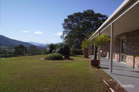 Property photo of 19 Yarrabee Terrace Stokers Siding NSW 2484