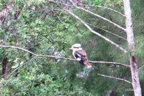 23 Adams Rd, Denmark, WA 6333