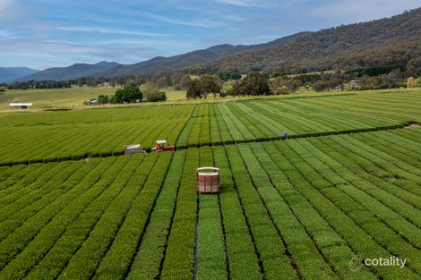 6109 Kiewa Valley Hwy, Coral Bank, VIC 3691