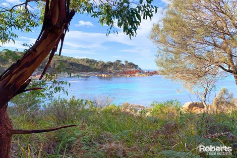 Property photo of 15 Seaton Road Binalong Bay TAS 7216