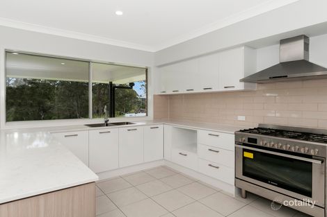 Property photo of 317A Millstream Road Cedar Vale QLD 4285