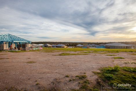 Property photo of 69 Arrowtail Street Chisholm NSW 2322