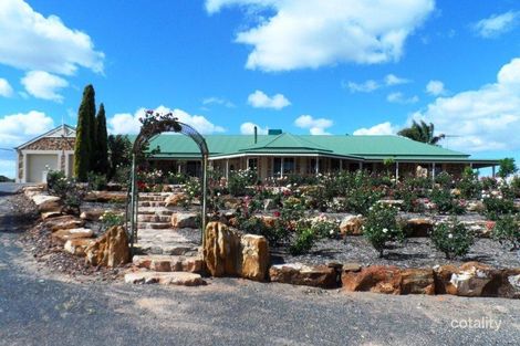 53 Chaffey St, Chaffey, SA 5341